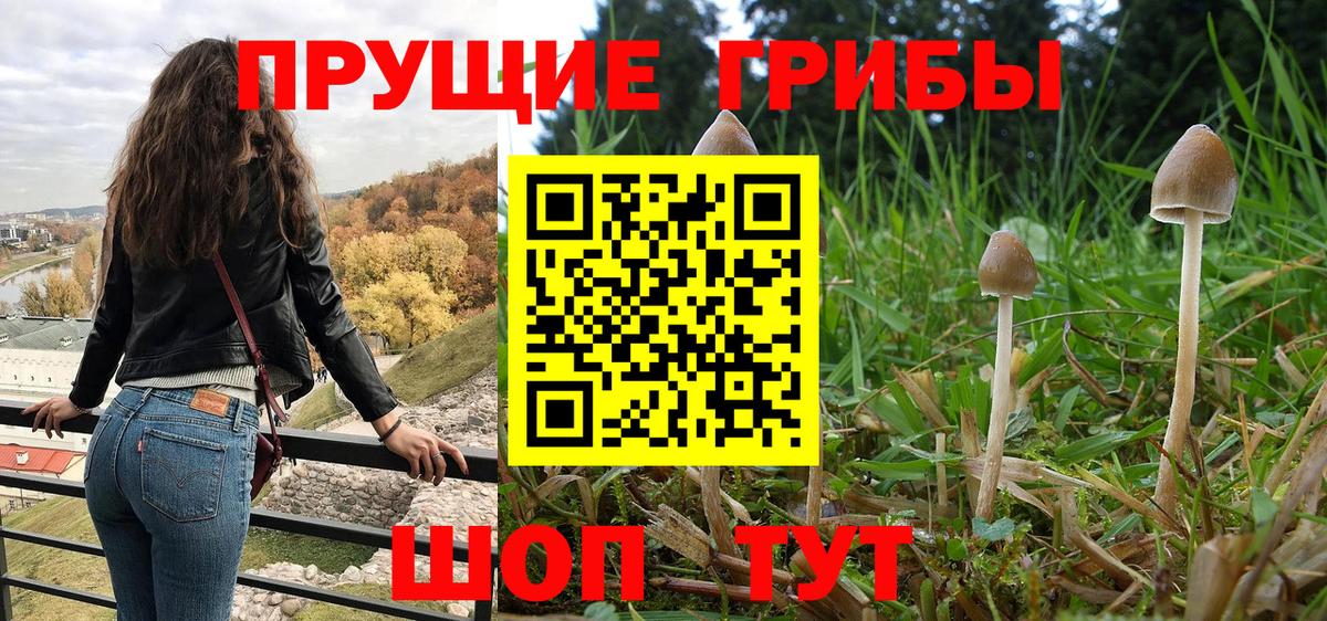 Псилоцибиновые грибы Magic Shrooms  Вход с VPN  Челябинск 